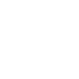 voice